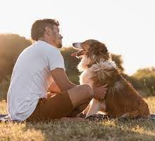 Why is the dog a man's best friend?